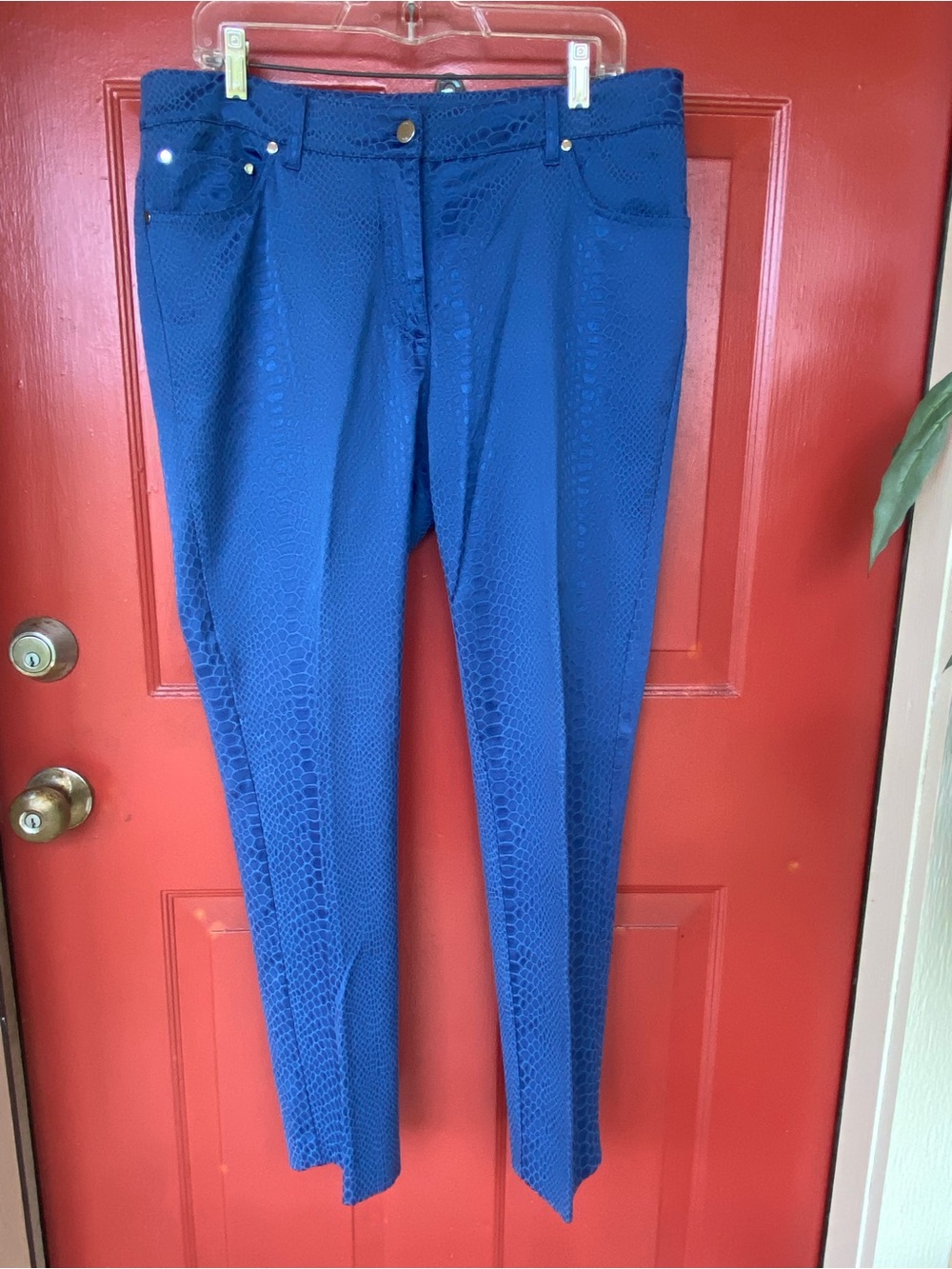 Bright Blue Textured Skinny Pants